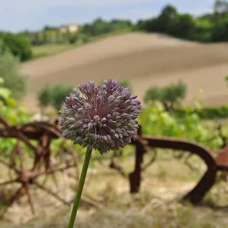 Resort Relais Giulia