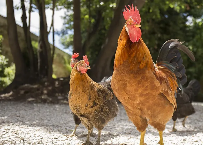 Resort Relais Giulia